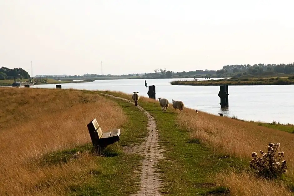 Beach & Waterfront