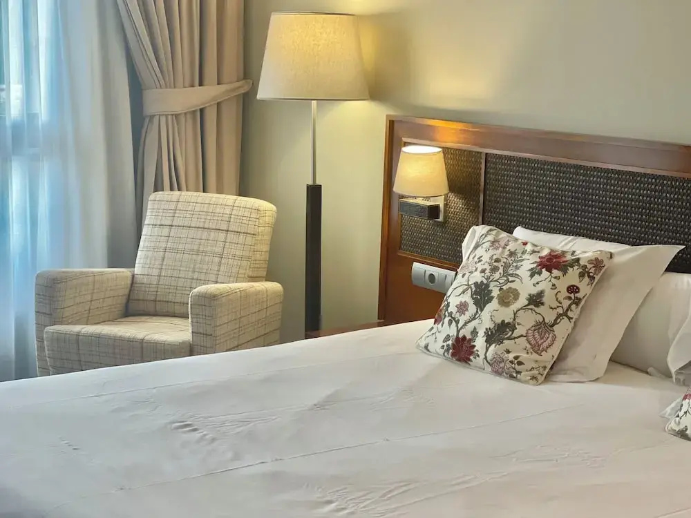 Standard Double room with mountain view (full double bed)