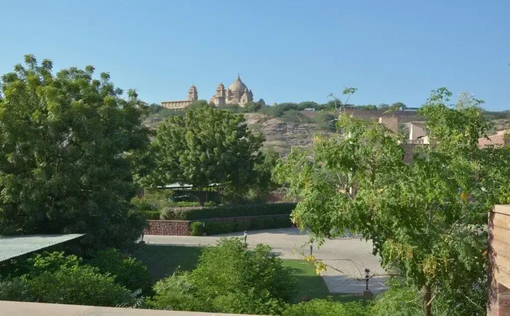 Anamiiva — фото 6