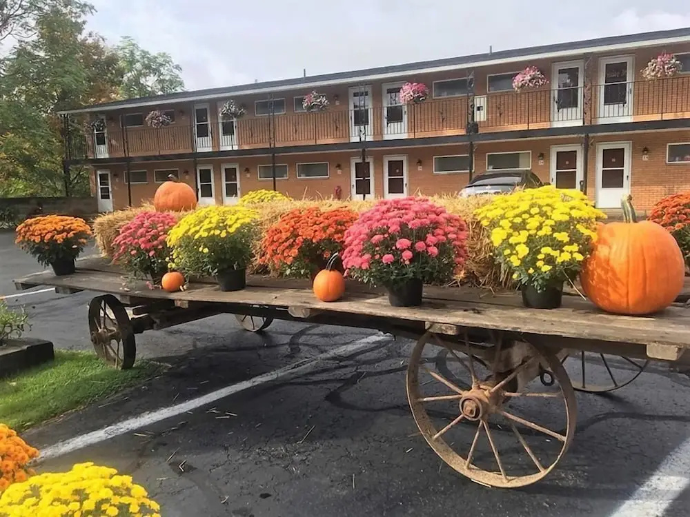 Cianci's Motel and Suites - фото 6