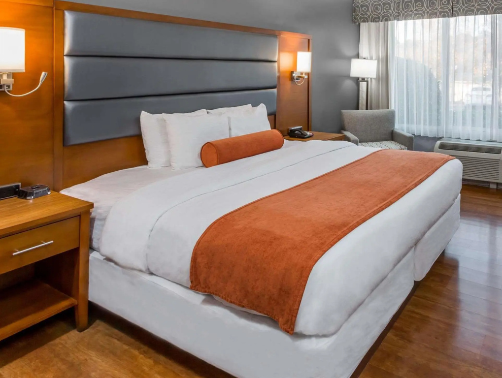 Wyndham Garden Greensboro - Chambres