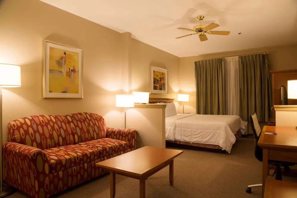 Executive Suite