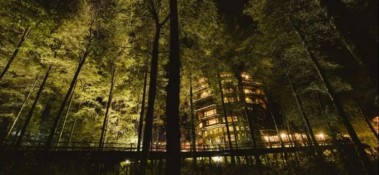 Huilo Huilo Nothofagus Hotel & Spa