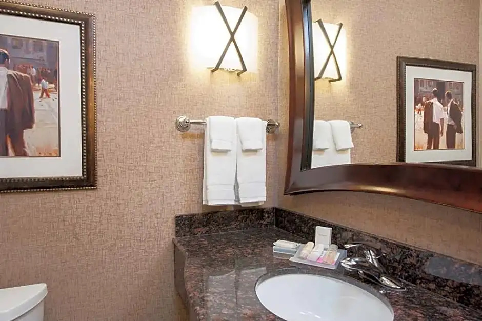 Hilton Garden Inn Indianapolis South/Greenwood - Chambres