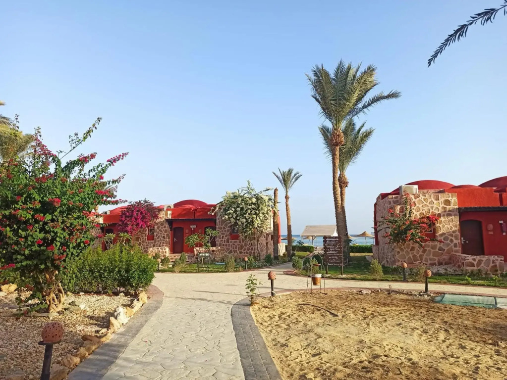 Hotelux Oriental Coast Marsa Alam - фото 36