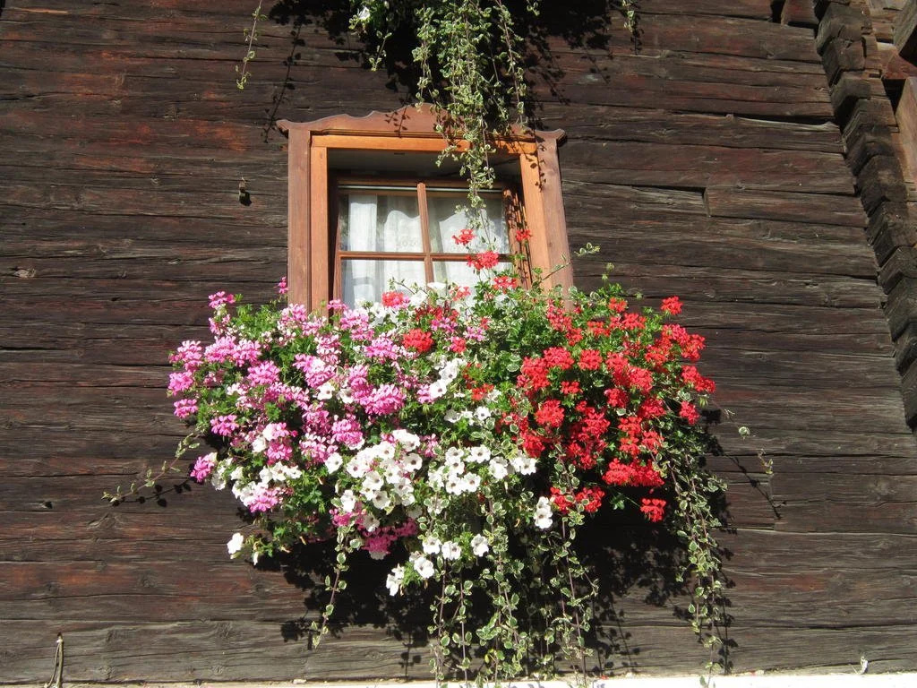 Hansenhof