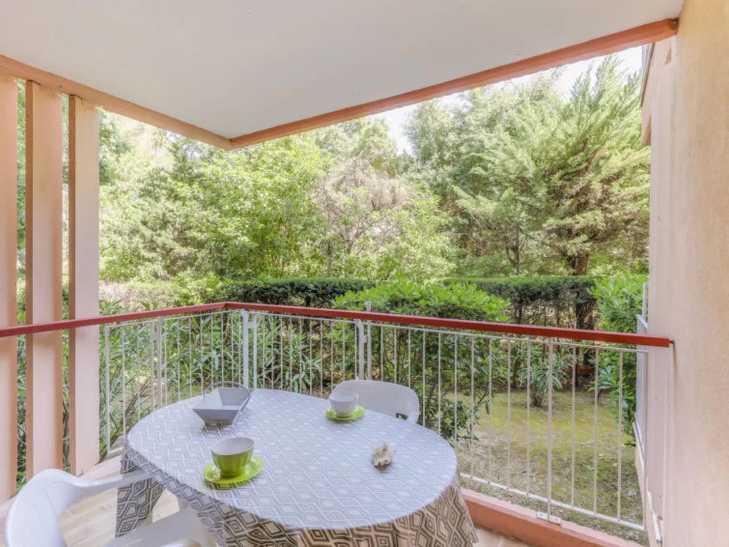Balcony & Terrace