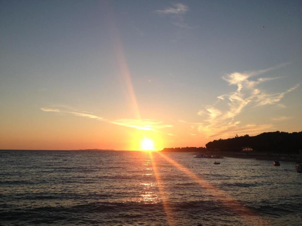 Image 15