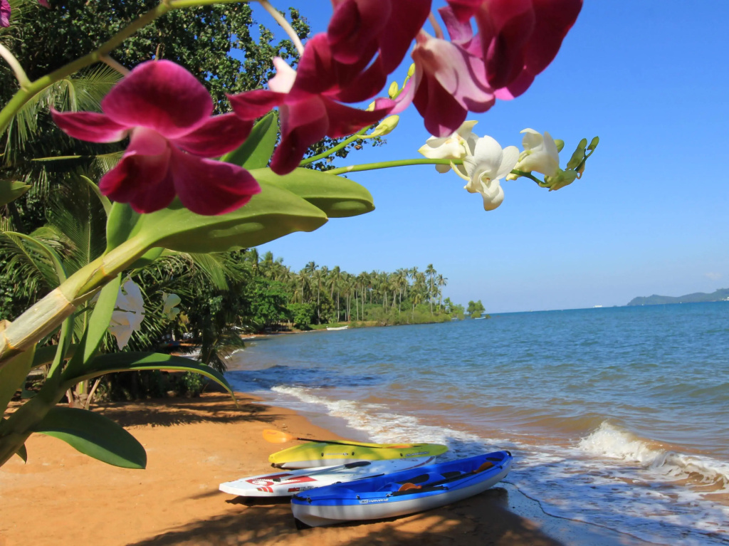 Serenity Resort - Général