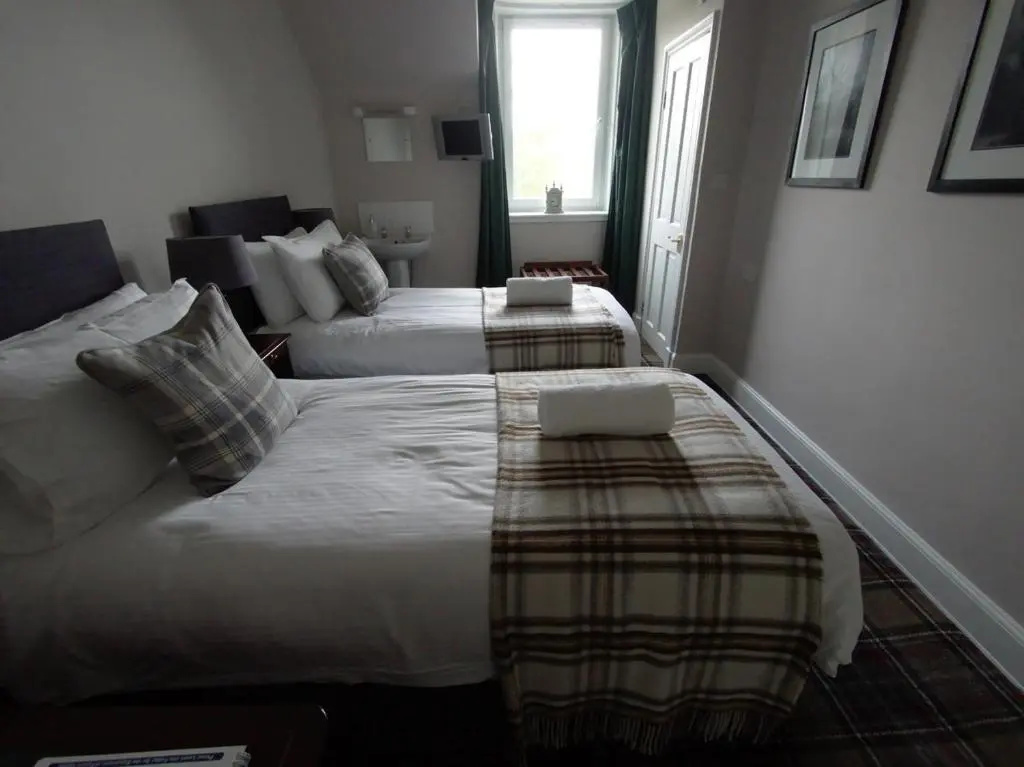 Standard Double room with mountain view (twin beds)