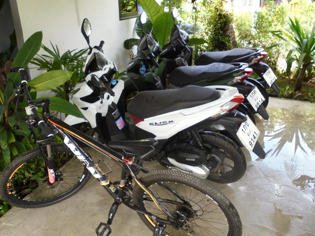 JJ Bungalow Khao Lak - Général