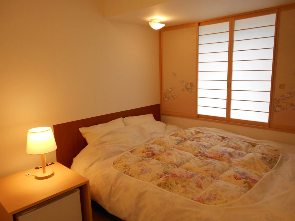 Standard Double room (full double bed)