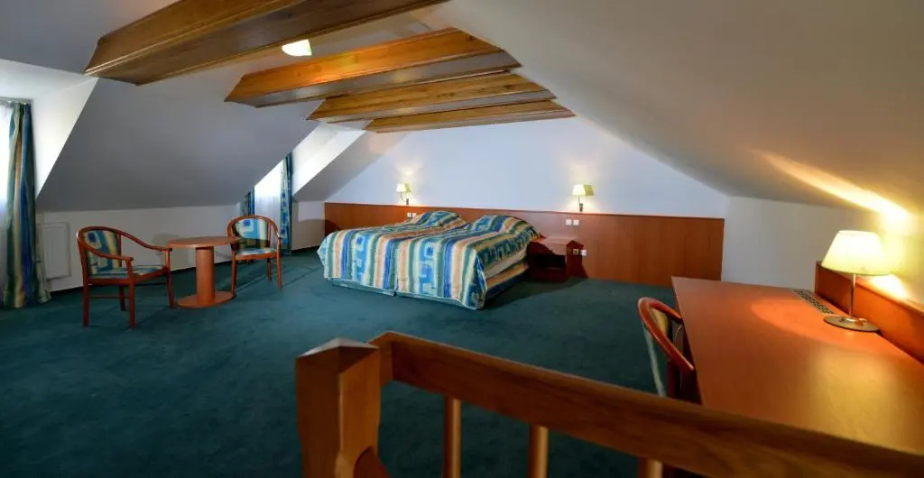 Hotel Dvořák - Chambres