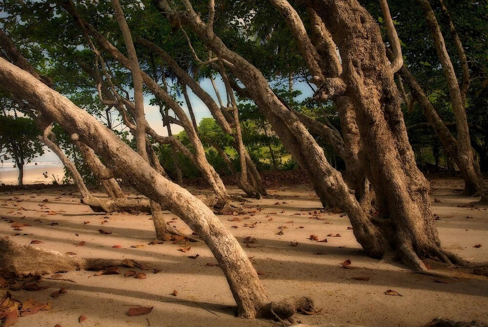 Villas Hermosas - фото 12