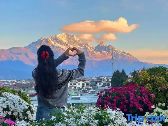 Date jade dragon snow mountain view guest house
