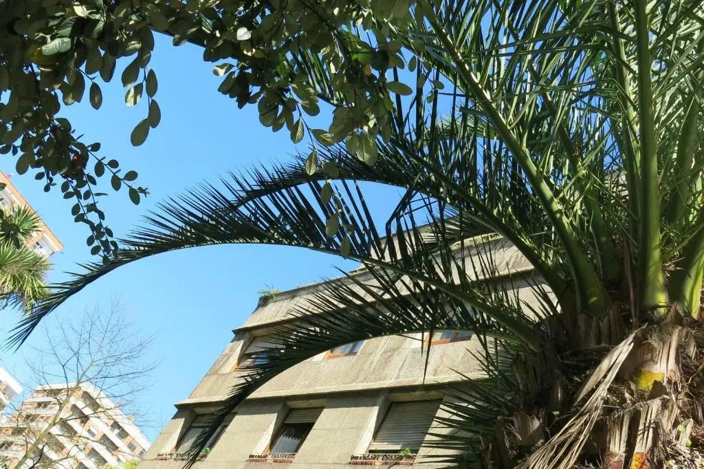 Maravillosa vivienda uso turistico con Parking VUT 921 AS
