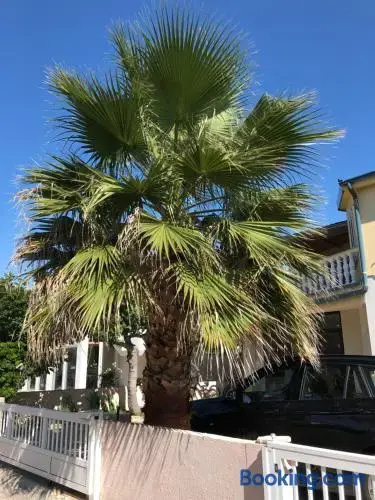 Apartment Plavo Sidro