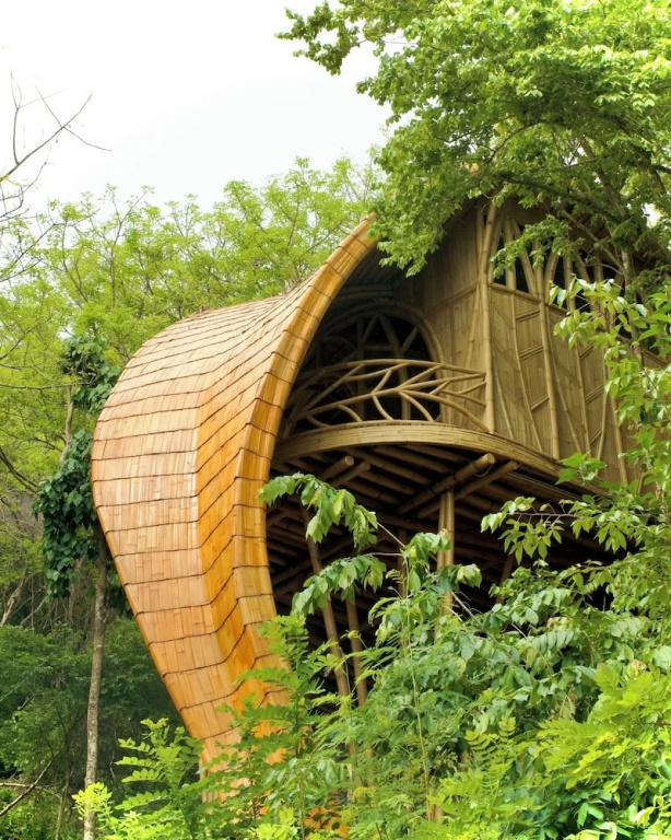 Cocoon Reserve