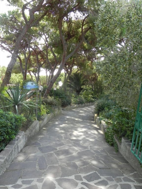 Hotel photo 31