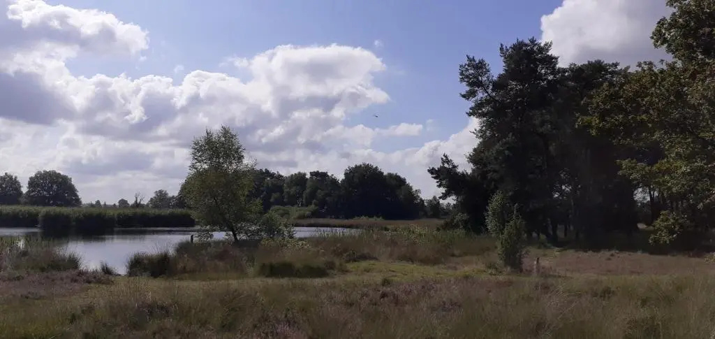 Huisje venzicht 7