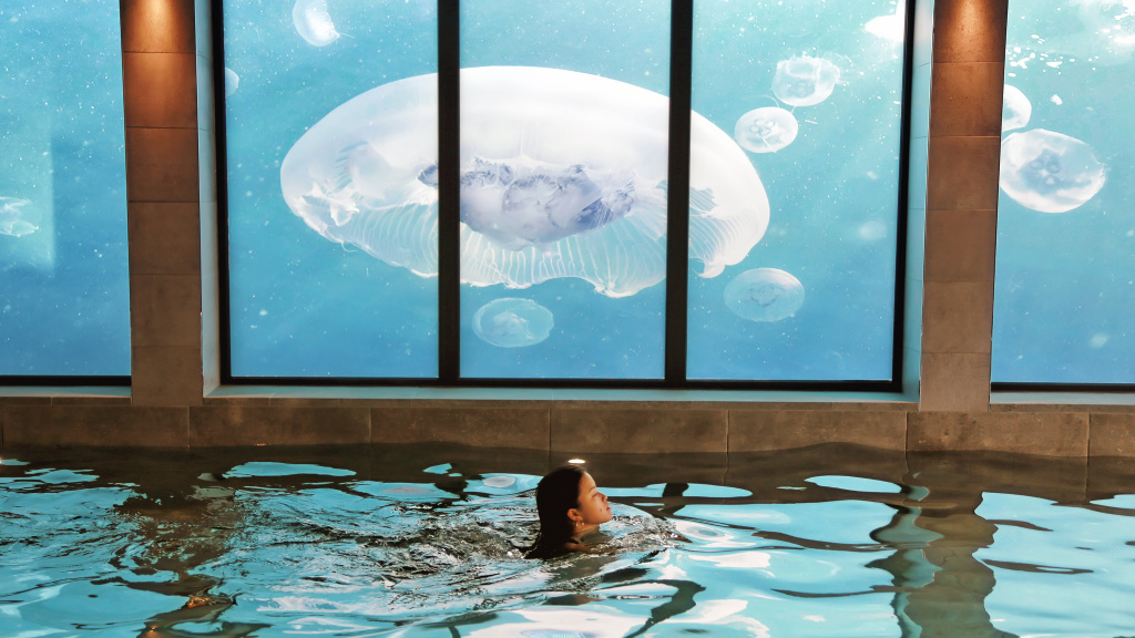 Lincombe Hall Hotel & Spa - Just for Adults - Général