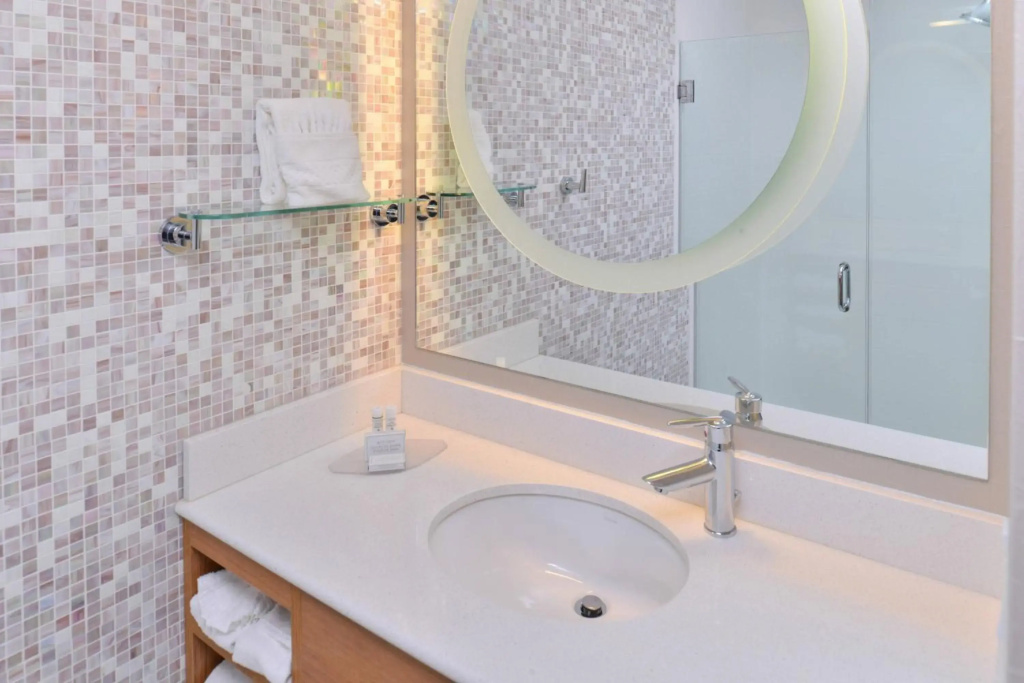 SpringHill Suites by Marriott Detroit Metro Airport Romulus - Général