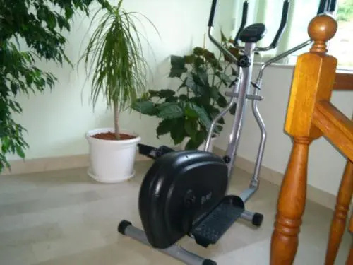 Guesthouse Zeko Rozat - Général