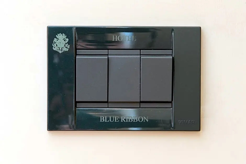 Hotel Blue Ribbon - Chambres