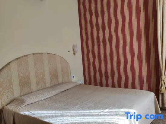 Deluxe Double room with canal view (full double bed)