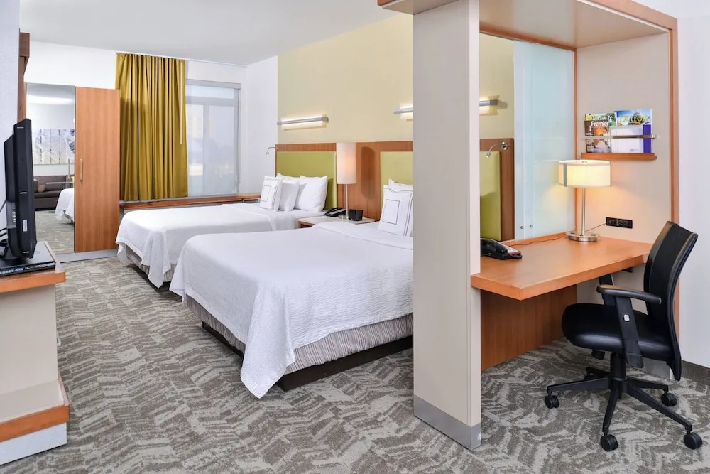 SpringHill Suites by Marriott Detroit Metro Airport Romulus - Chambres