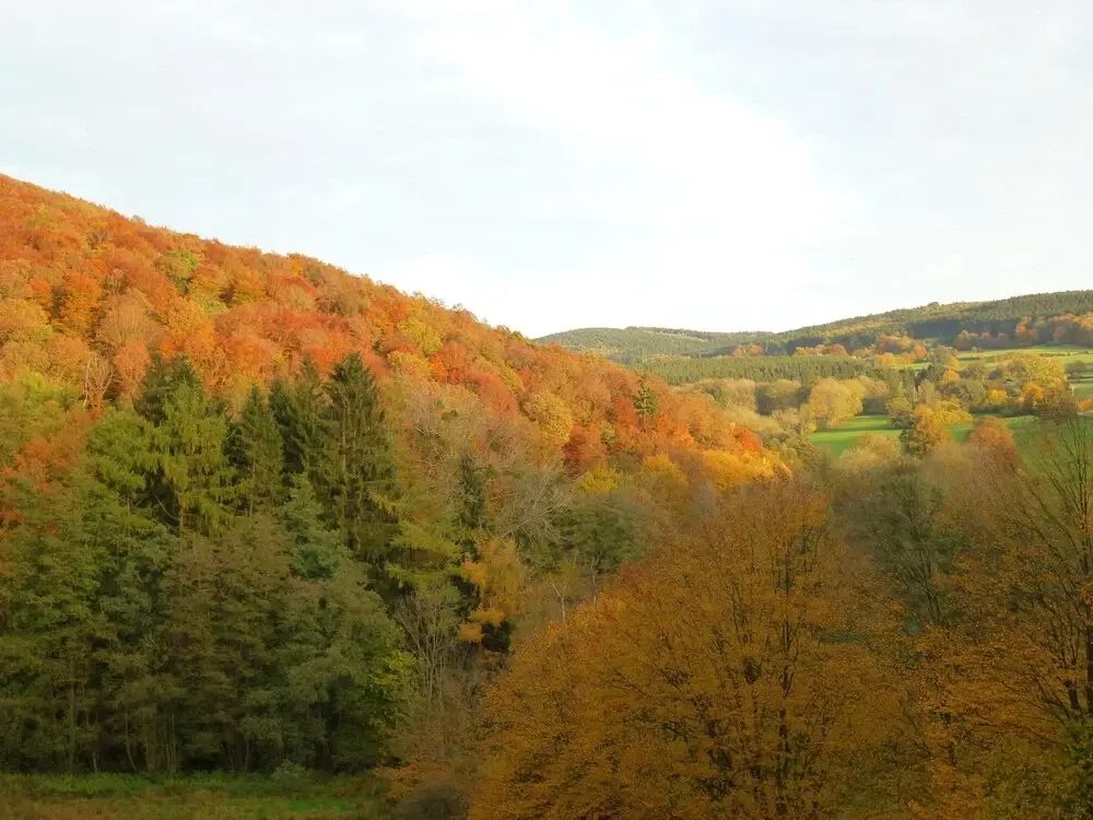 Modern Holiday Home in Somme-leuze With Sauna - фото 24