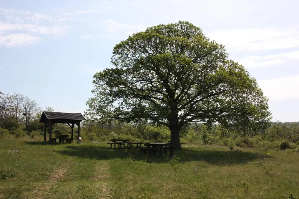 Robiniapark - фото 25