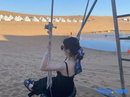 Zhongwei Camel bells jingle star camp base
