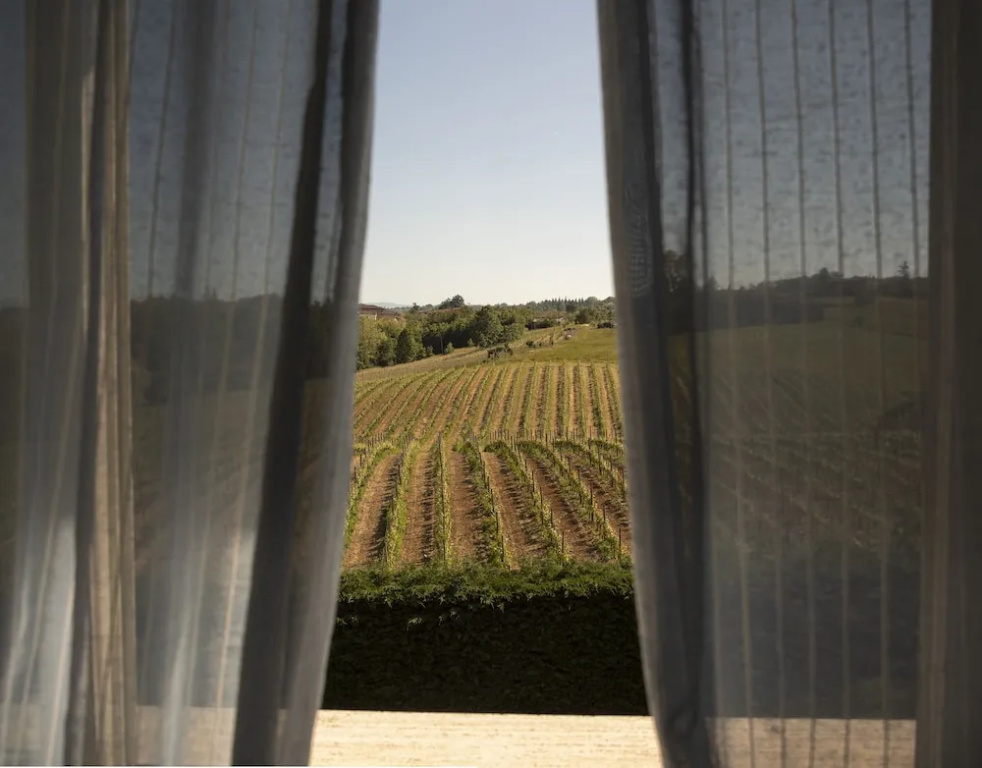 Tenuta Montebello - Général