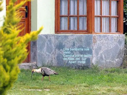 Alas Del Sur Apart Hotel