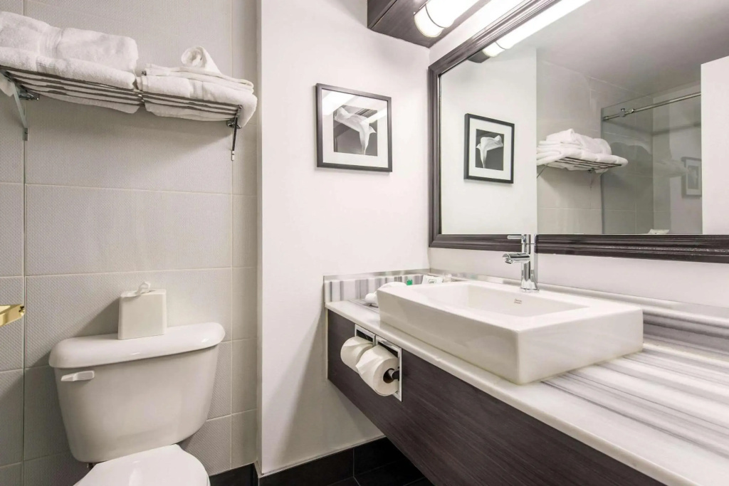 Quality Inn & Suites Gatineau - Général