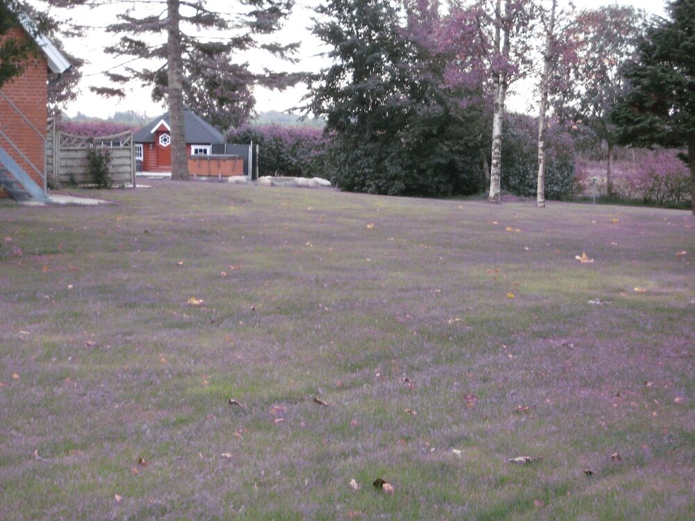 Image 16