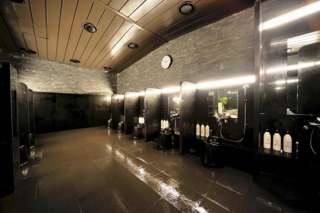 Dormy Inn Premium Seoul Garosugil - Général