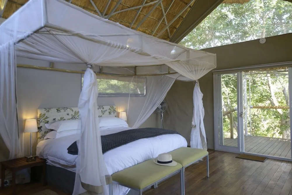 Elephant's Eye, Hwange - Général
