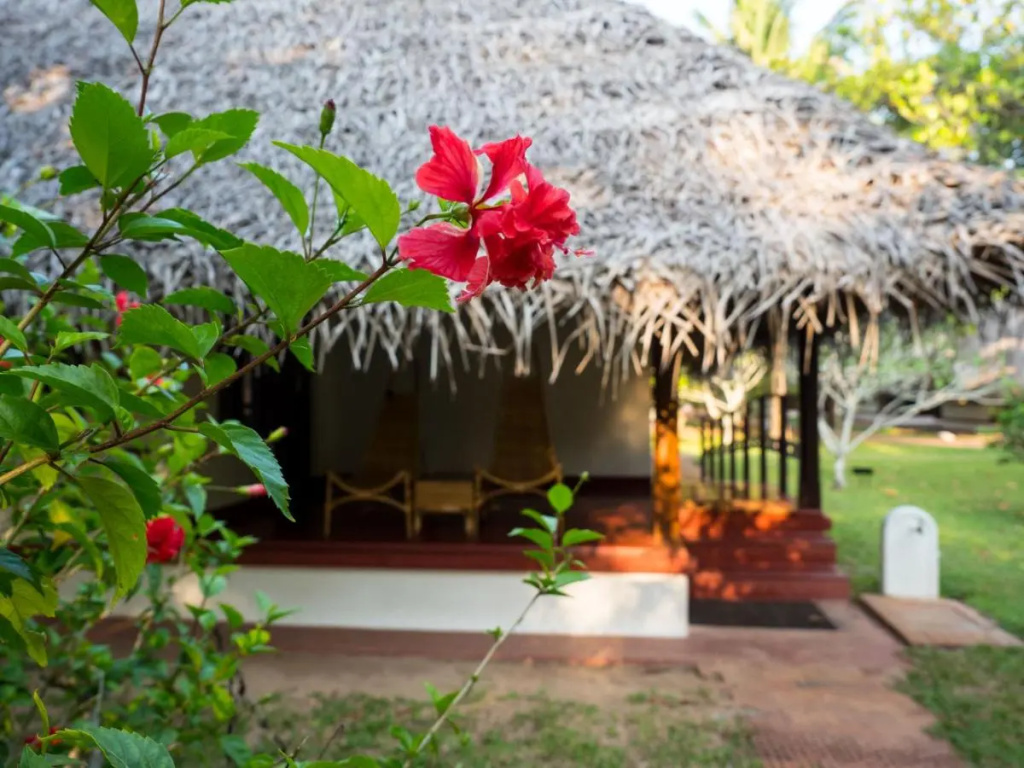 Hotel photo 44