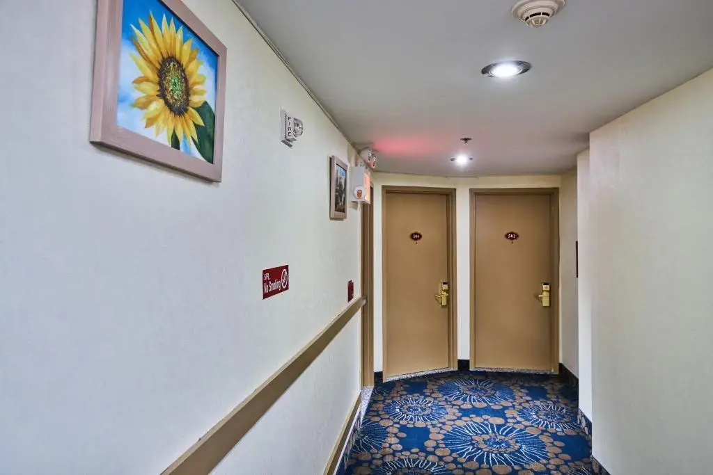 Hotel photo 14