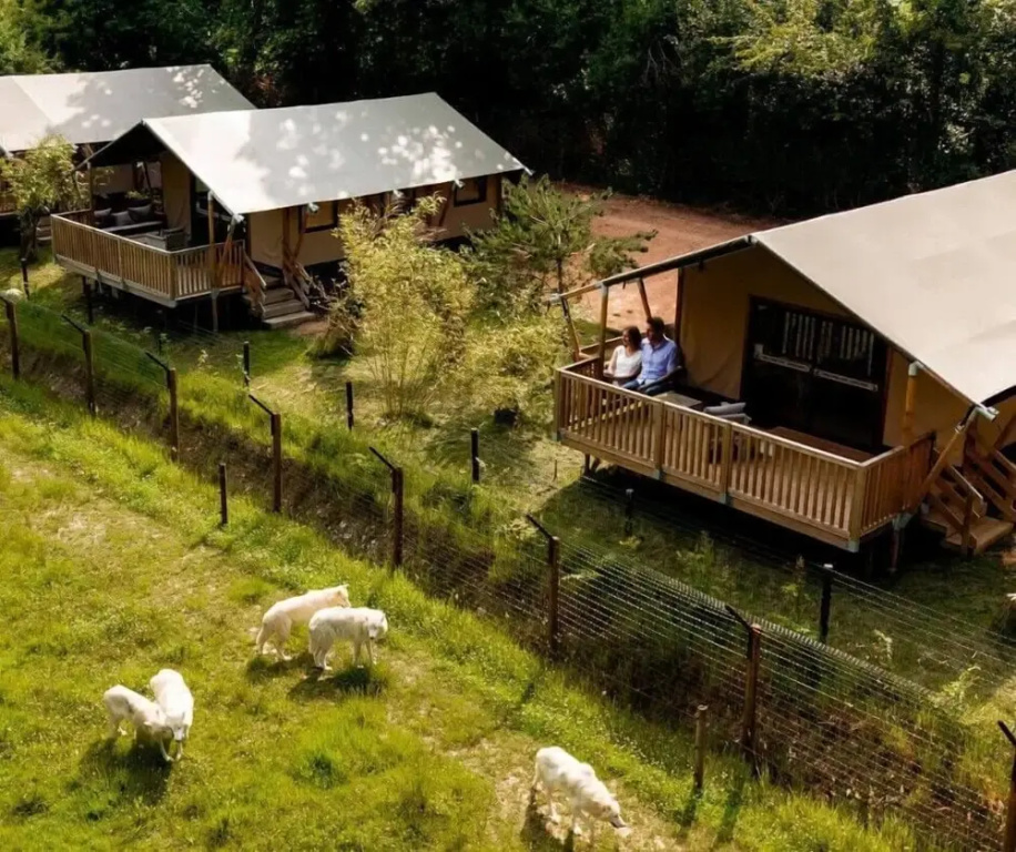 Cerza Safari Lodges