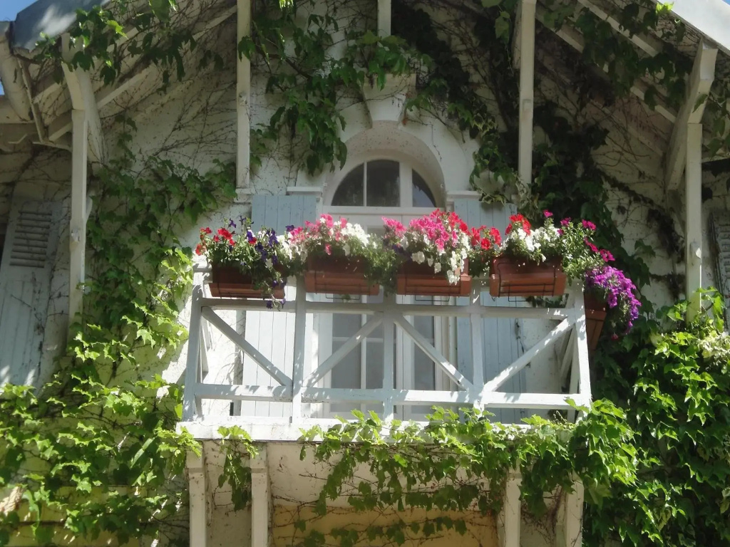 Hostellerie Le Chalet Fleuri - Général