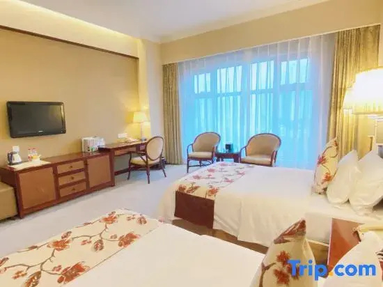 Standard Double room with city view (twin beds)