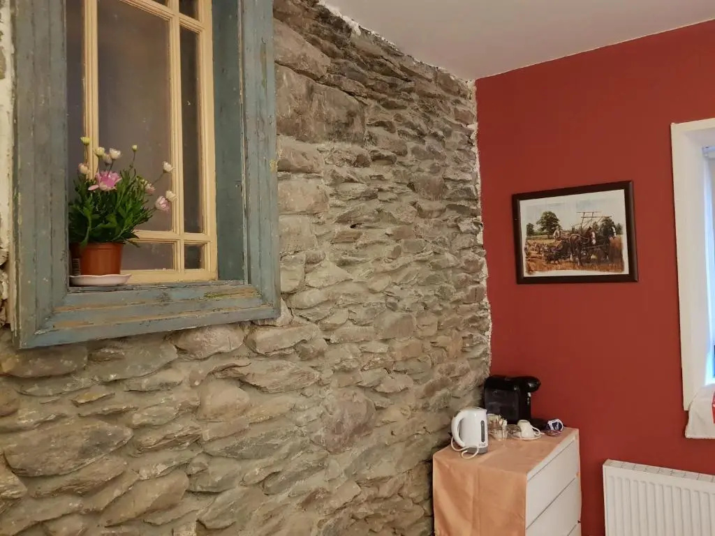 Deluxe Double room (full double bed)