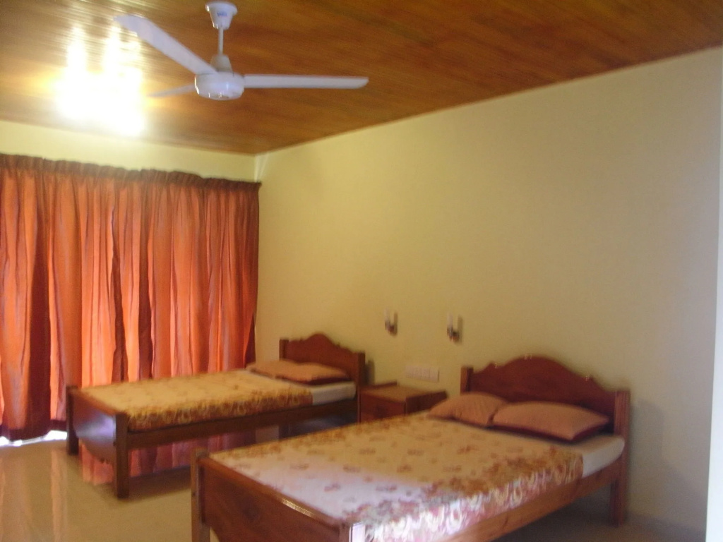 Rainforest Lodge - Général