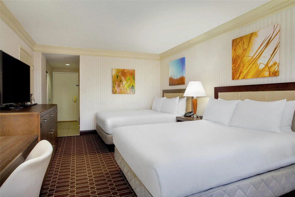 Hilton Jackson - Chambres
