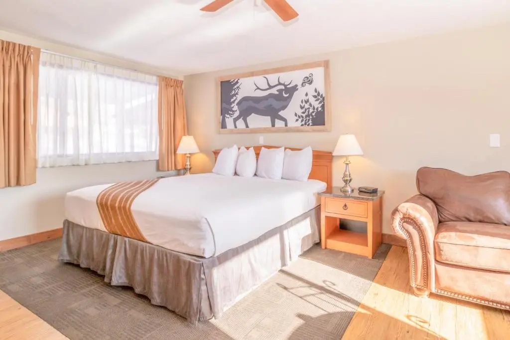Murphy's Resort - Chambres