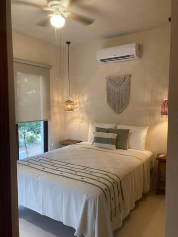 Selva norte Tulum — 2