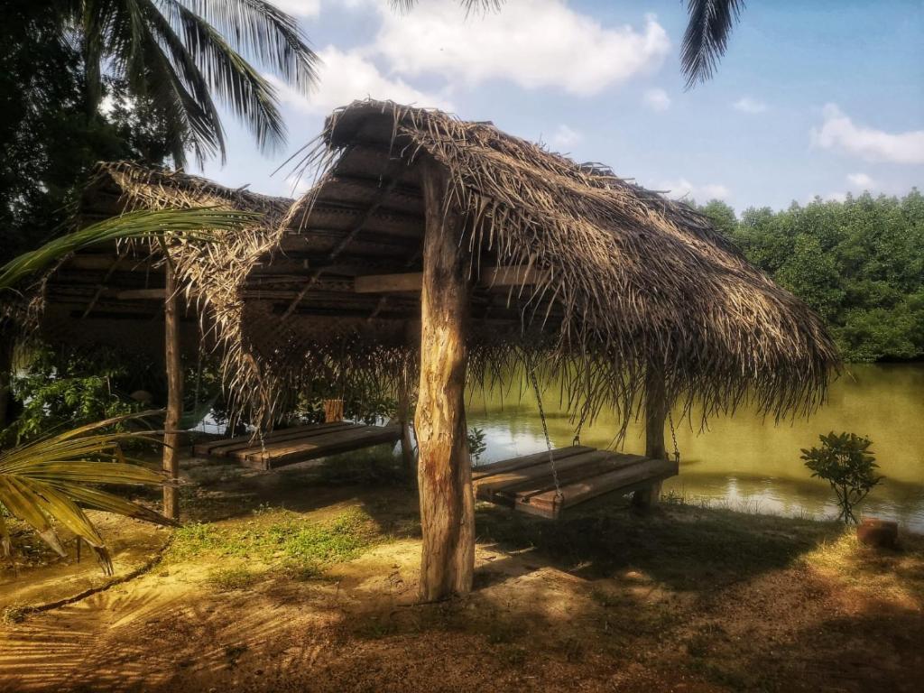 Coconut Island
